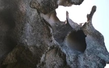 A màghjina - À Roccapina, ùn ci hè micca solu u Leone !  