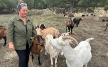 À Peri, Géraldine Gavarini nous ouvre les portes de sa bergerie "Capra" au coeur de l'automne