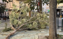 Bastia : des dégâts liés au vent dans la nuit de lundi à mardi