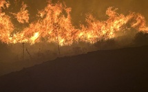 Tempête Benjamin : 17 feux de forêt en Haute-Corse, dont 14 d’origine malveillante