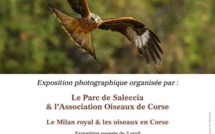 L'Ile-Rousse : ‘’ Le Milan royal et les oiseaux en Corse’’ s'exposent au Parc de Saleccia