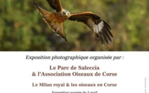 L'Ile-Rousse : ‘’ Le Milan royal et les oiseaux en Corse’’ s'exposent au Parc de Saleccia