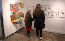 BD à Bastia : c’est parti ! 