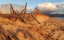 Ajaccio : au Ricanto, les travaux débutent pour restaurer le dispositif de protection de la lande