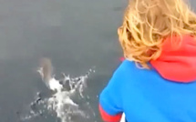Les dauphins escortent Isolamondo entre Elbe et Bastia