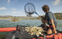 La Mission CorSeaCare en lice pour un concours national