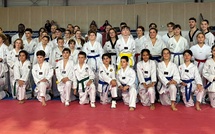 Taekwondo - Stage combat d’exception à Porto-Vecchio avec l’international français Théo Lucien