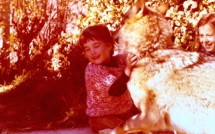 GR 20 : Le loup n'en était pas un !