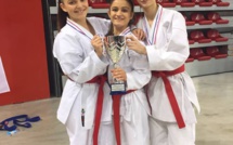 Le Karaté Club Goju Ryu Borgo brille à Rouen