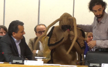 Communauté d'agglo de Bastia : Alexy, le cafard de Minenfootu, s'invite au débat