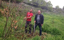 Pianellu : Les hommes qui plantaient les arbres