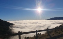 A màghjina - Sorba sopra a bianca immensità