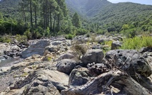 Championnat du monde de course aventure 2026 : la Corse au cœur d’un défi sportif planétaire