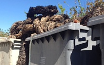 Monticellu : Les riverains du lotissement Castellacciu en guerre contre l'incivisme 