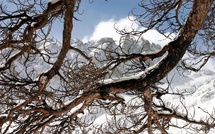 Natale trà neve è muntagne