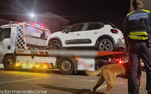 Cervioni : opération de contrôle contre les stupéfiants au volant