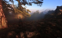 A màghjina - U spettru di Brocken in Bavella