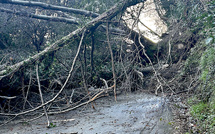 Vallée de Lota - Éboulement important entre San Martinu et Figarella