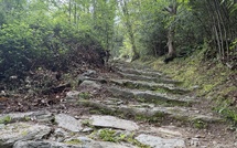 A màghjina - Una vechja ricciata in a pieve di Lota