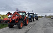 Crise agricole : les agriculteurs corses rejoignent le convoi national