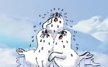 Le dessin de Battì : BB phoques inconsolables !