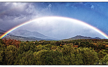 A màghjina - Arcu balenu di Sotta