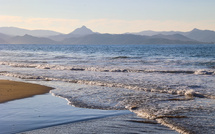 A màghjina - Ferringule d'invernu