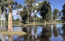 Dr André Rocchi : « Il faut reprendre la main sur nos fleuves dans le Fium'Orbu »