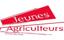 Droits à paiements de base : Le mécontentement des jeunes agriculteurs corses 