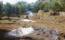 Le cimetière abandonné des enfants-martyrs du bagne de Castellucciu réhabilité