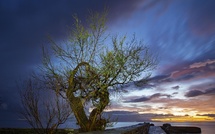 A màghjina - Sussuru di luce nantu à Porticciolu