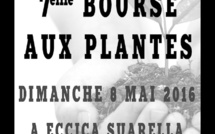 Eccica-Suarella : 7ème Bourse aux Plantes le 8 mai