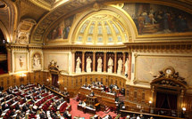 Autonomie de la Corse : le projet de loi constitutionnelle inscrit à l'agenda du Sénat 