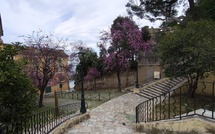 A màghjina - A ricciata di San Carlu Vechju in Bastia
