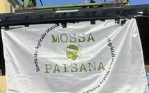 Mossa Paisana demande la mise en place "d’un véritable office agricole" pour la gestion de la nouvelle PAC en Corse
