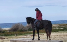 Lozari - Concours équestre de Mountain Trail