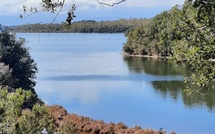 Étang de Diana : la pêche et la commercialisation des coquillages suspendues