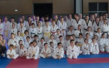 Les arts martiaux déroulent les tapis à Borgo