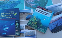 Bastia avant Ajaccio : 45 ateliers pour la 23ème édition de la Mer en fête