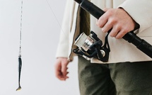 Pêche du denti : une consultation publique qui interroge en Corse