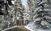 A màghjina - Neve in furesta d'Aïtone