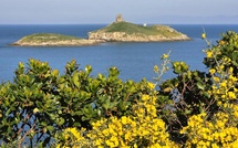 A màghjina - E Finuchjarole, gioiellu salvaticu di Capicorsu