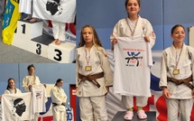 Judo : le Shin Gi Tai Borgo Judo brille en FSGT