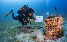 Starecorsica : une mission inédite pour prendre le pouls de la mer autour de la Corse
