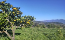 À Ajaccio, des terres privées mises au service de la nature