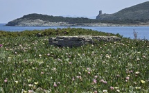 A màghjina - Veranu sott’à a torra d'Agnellu