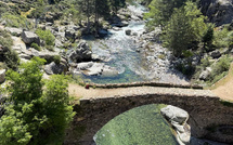 A màghjina - Magnificu Niolu