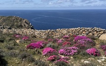 A màghjina - U veranu di A Revellata