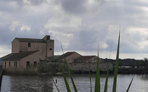 U tempu in Corsica