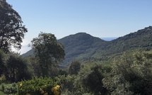 U tempu in Corsica
